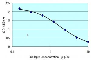 Human Collagen type I, ELISA Kit
