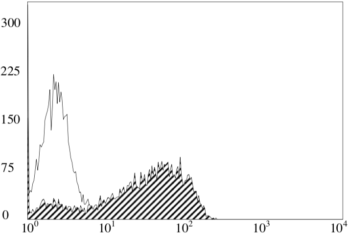 Anti Feline T-Cell Surface Glycoprotein CD3 Epsilon Chain (CD3E) mAb (Clone 5G-6-7-3)
