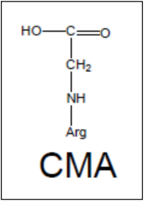 Anti N(Omega)-(Carboxymethyl) Arginine (CMA) mAb (Clone 3F5)