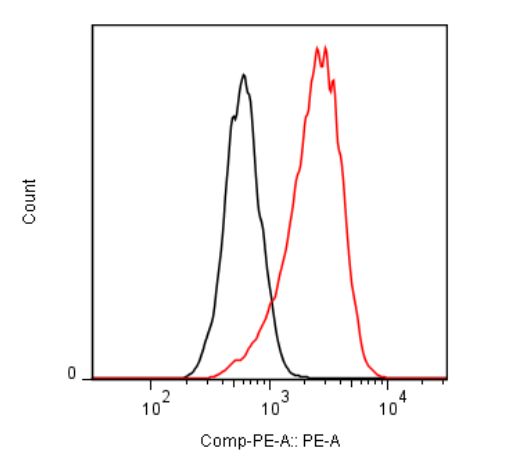 Anti Translocator Protein (TSPO) pAb (Mouse, Antiserum)