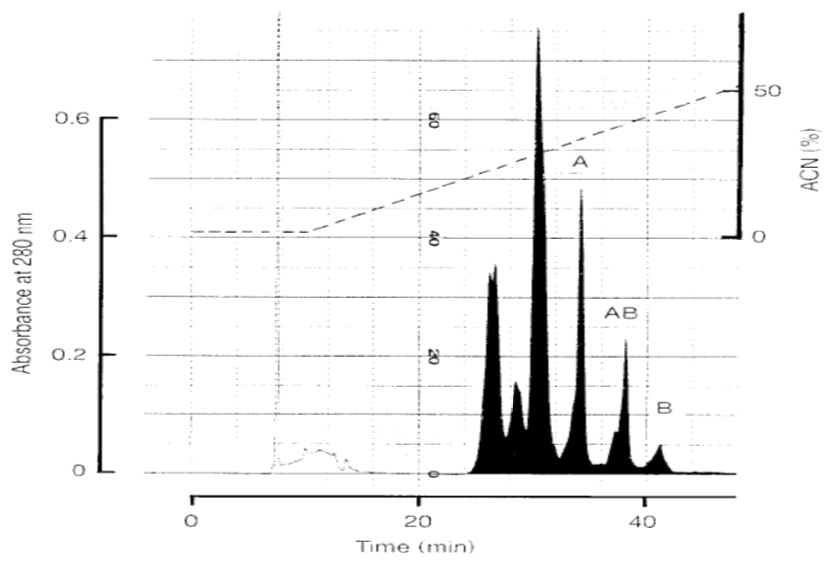 Anti Follistatin (FS) pAb (Rabbit, Antiserum)