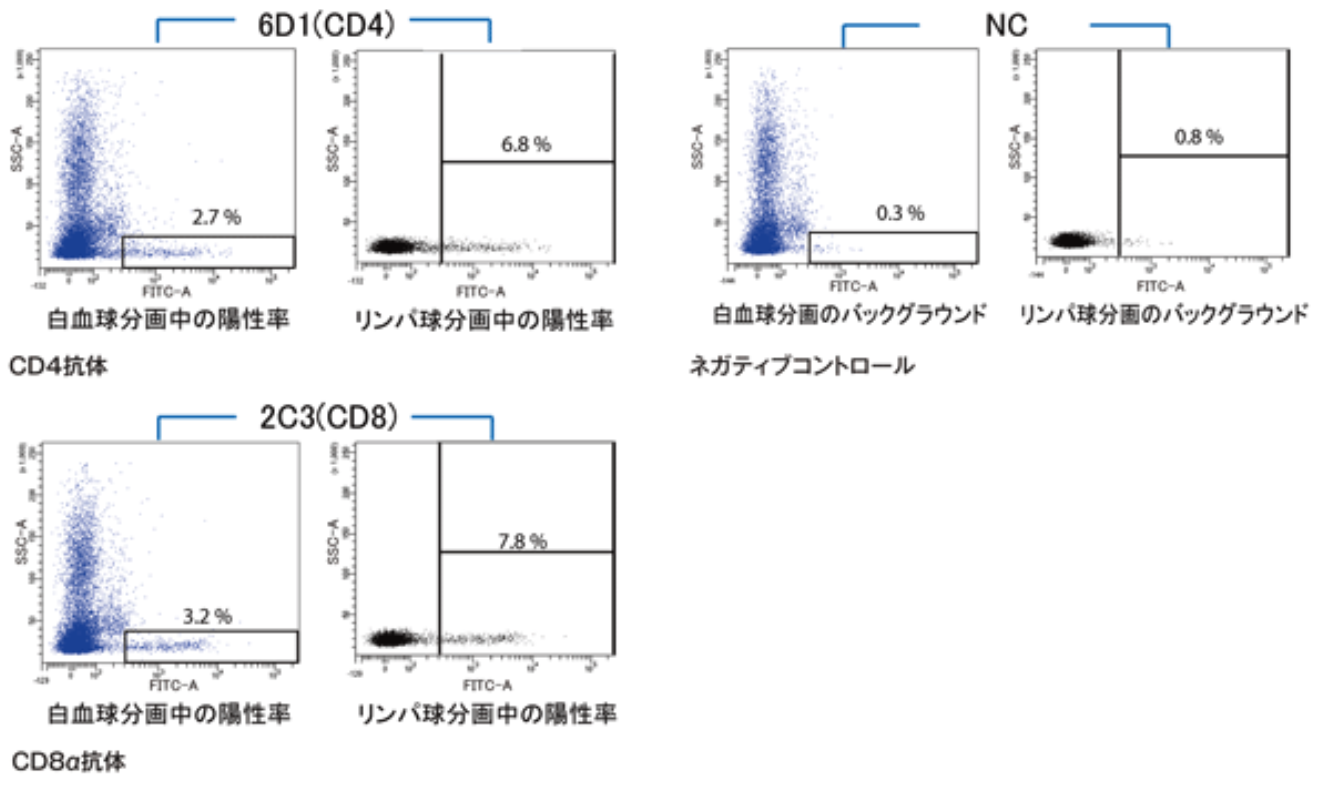 Anti Fish T-Cell Surface Glycoprotein CD4 mAb (Clone 6D1)