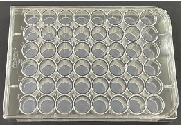 Bone Resorption Assay Plate