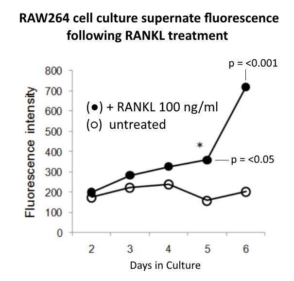 Bone Resorption Assay Buffer
