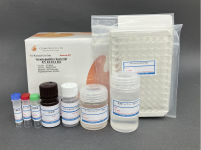Gram-positive bacterial EV ELISA Kit