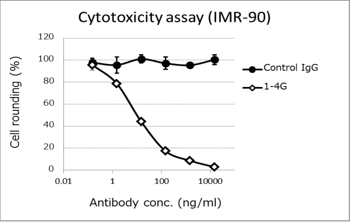 Anti Clostridium difficile Toxin A mAb (Clone 1-4G)