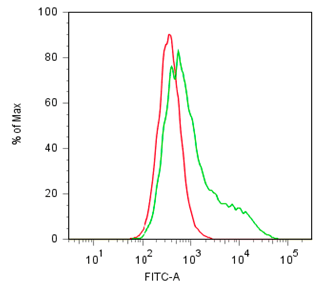 Anti Semaphorin 4B (SEMA4B) mAb (Clone TK-2)