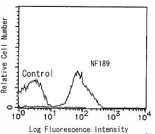 Anti CD36 mAb (Clone NF189)