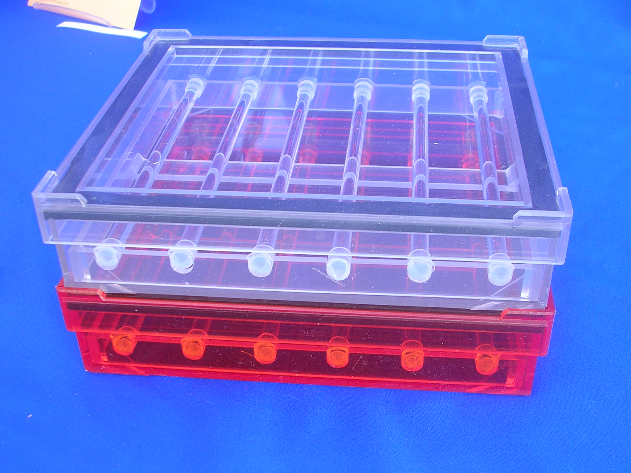 Incubation Chamber