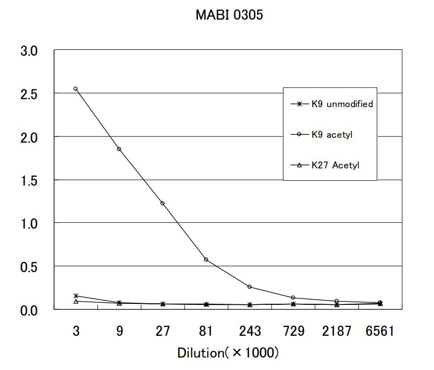 Anti acetyl Histone H3 (Lys9) mAb (Clone MABI0305)