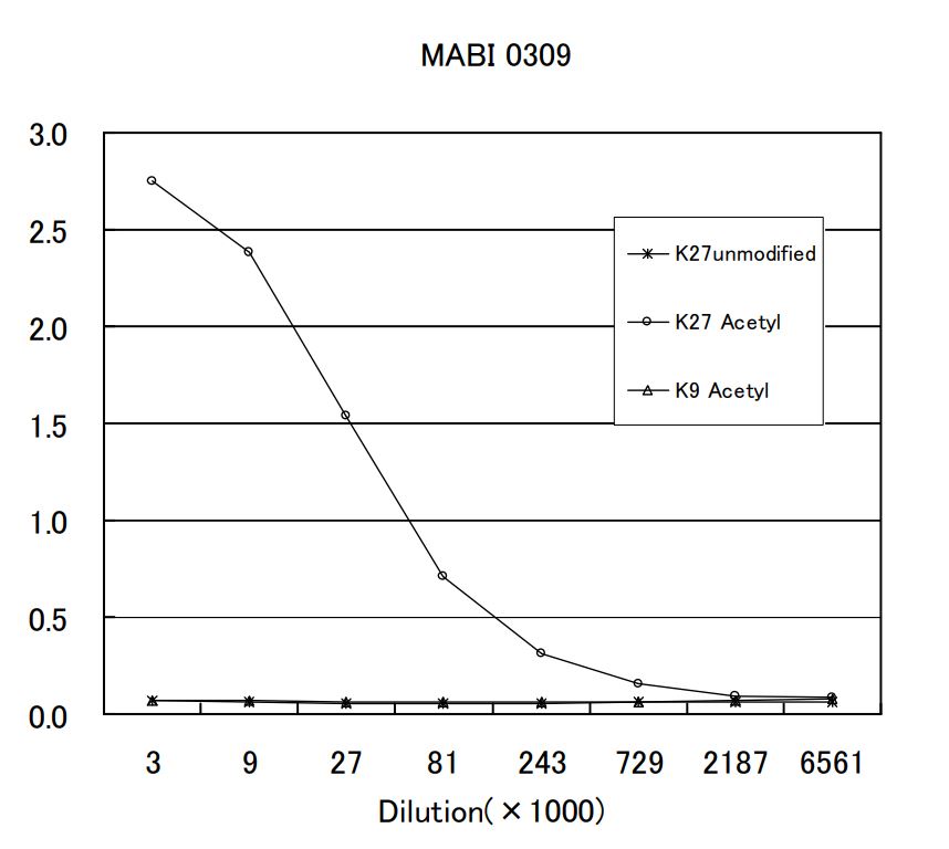 Anti acetyl Histone H3 (Lys27) mAb (Clone MABI0309)
