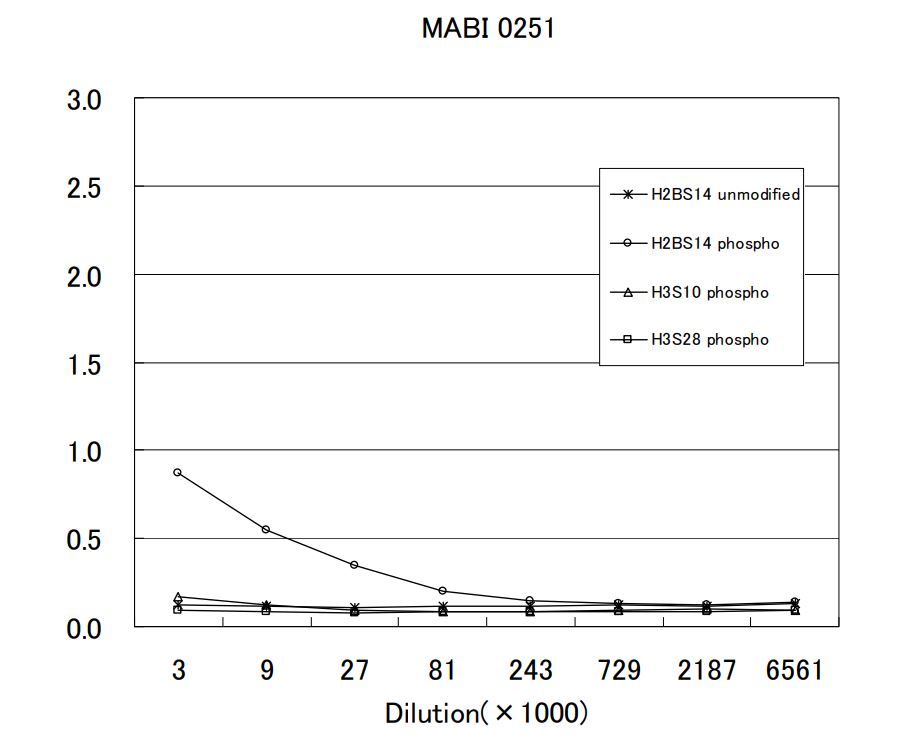 Anti phospho Histone H2B (Ser14) mAb (Clone MABI0251)