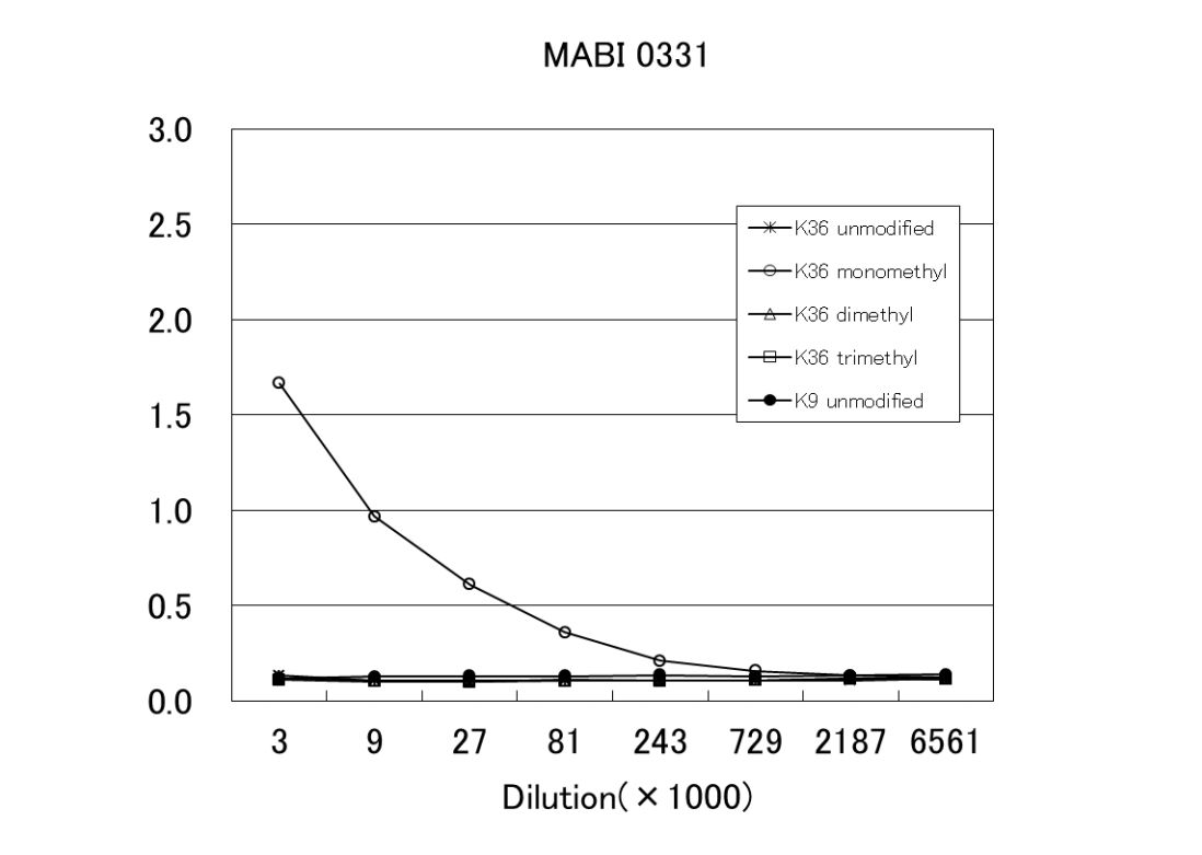 Anti monomethyl Histone H3 (Lys36) mAb (Clone MABI0331)
