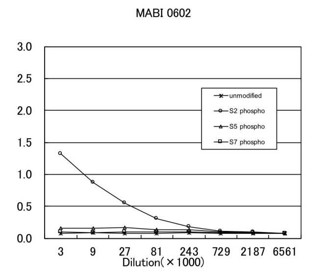 Anti RNA Polymerase II CTD (phospho Ser2) mAb (Clone 0602)