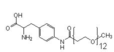Site-Directed Unnatural Mutagenesis, PEG12-AF (CGGG), CloverDirect