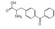 Site-Directed Unnatural Mutagenesis, BPA (amber), CloverDirect