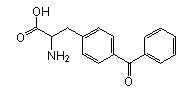 Site-Directed Unnatural Mutagenesis, BPA (CGGG), CloverDirect