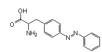 Site-Directed Unnatural Mutagenesis, AzoAla (amber), CloverDirect