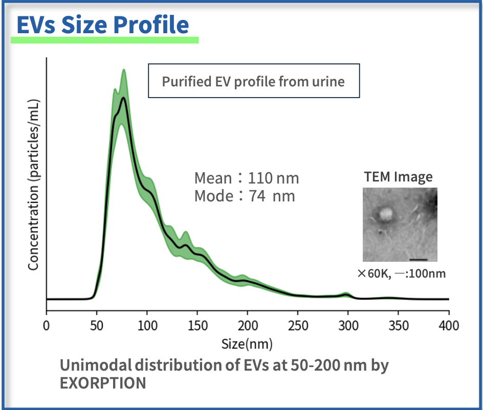 EXORPTION[R]?? Extracellular Vesicles Purification Kit