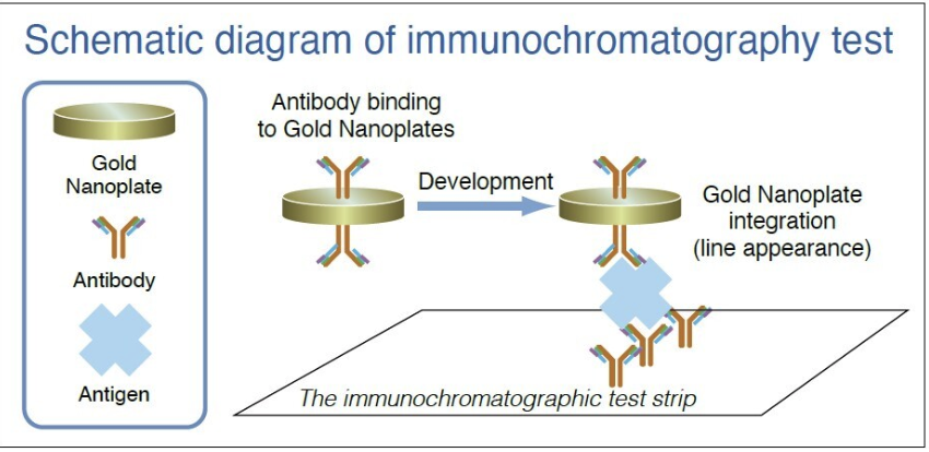 Gold Nanoplates