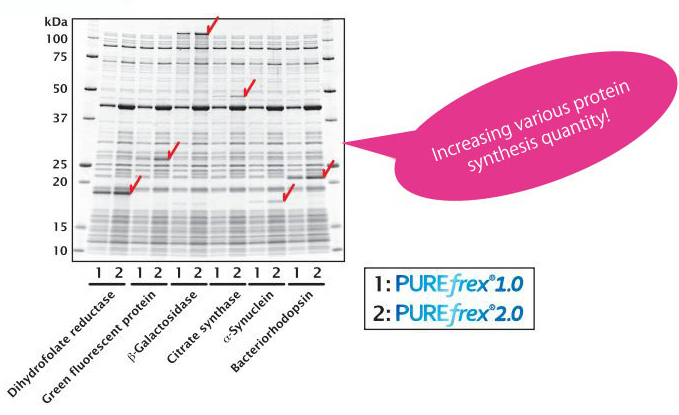 PUREfrex 2.0