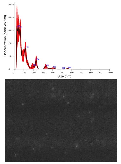 EValuator[TM] CD9 reagent (fluorescent detection 488)