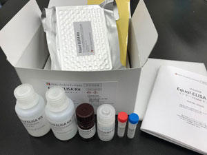 Equol ELISA Kit