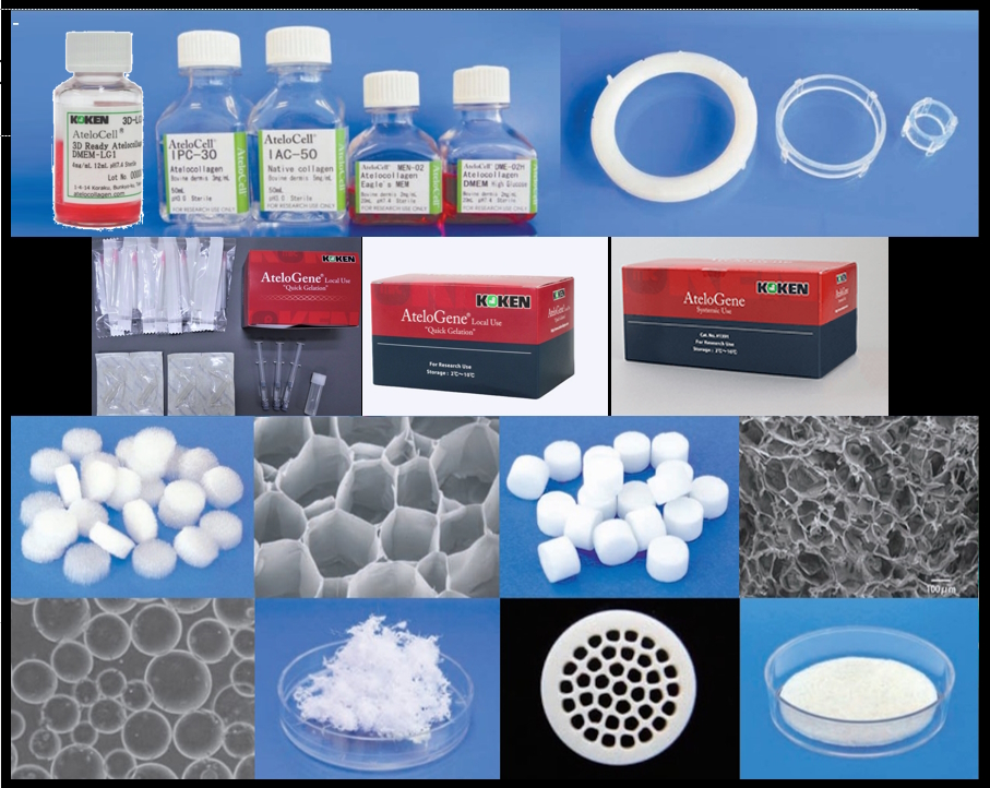 AteloGene Systemic Use