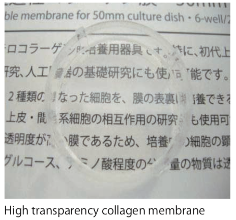 Atelocollagen Permeable Membrane Sheet