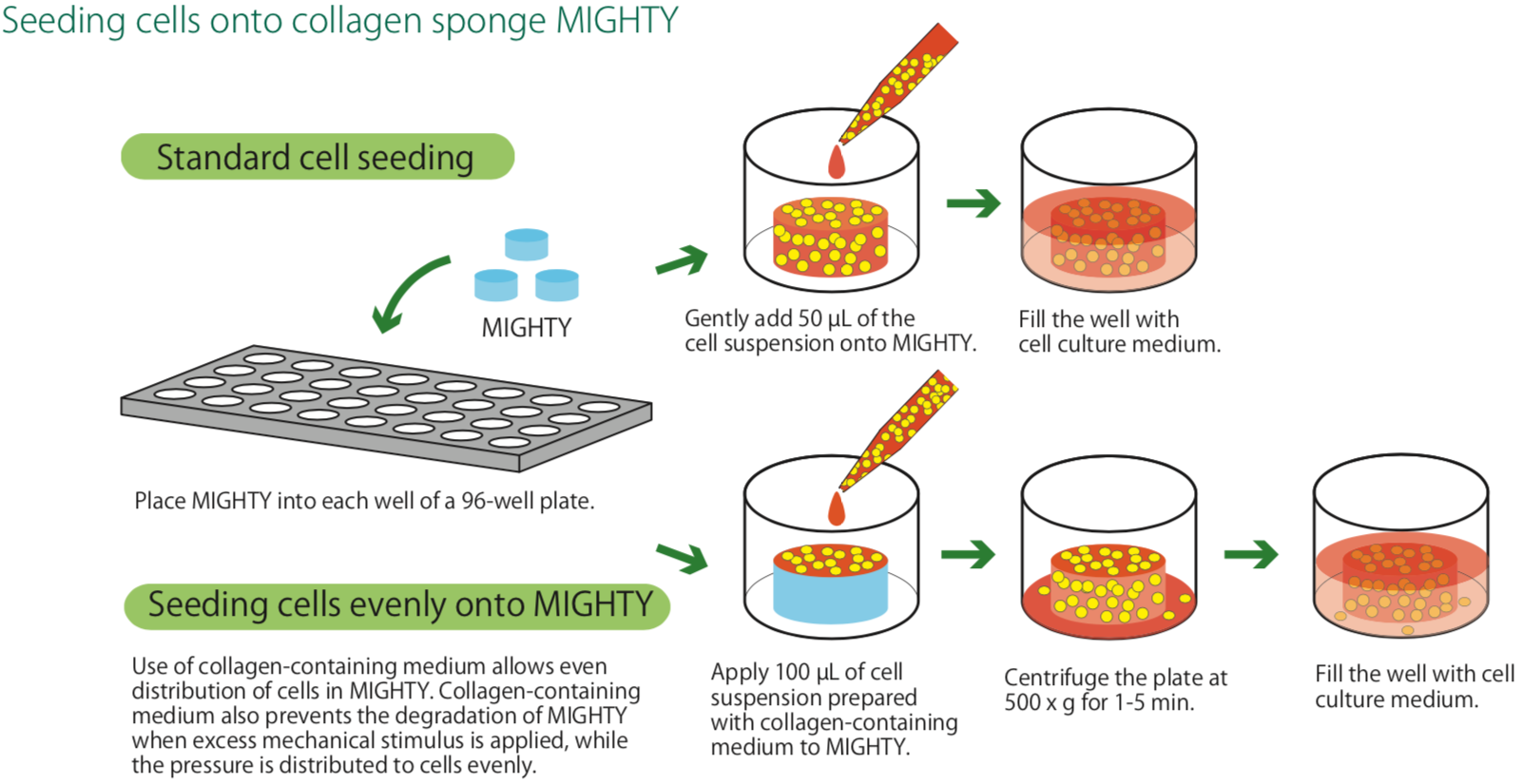 Atelocollagen sponge Mighty