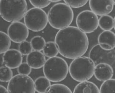 Collagen Microspheres