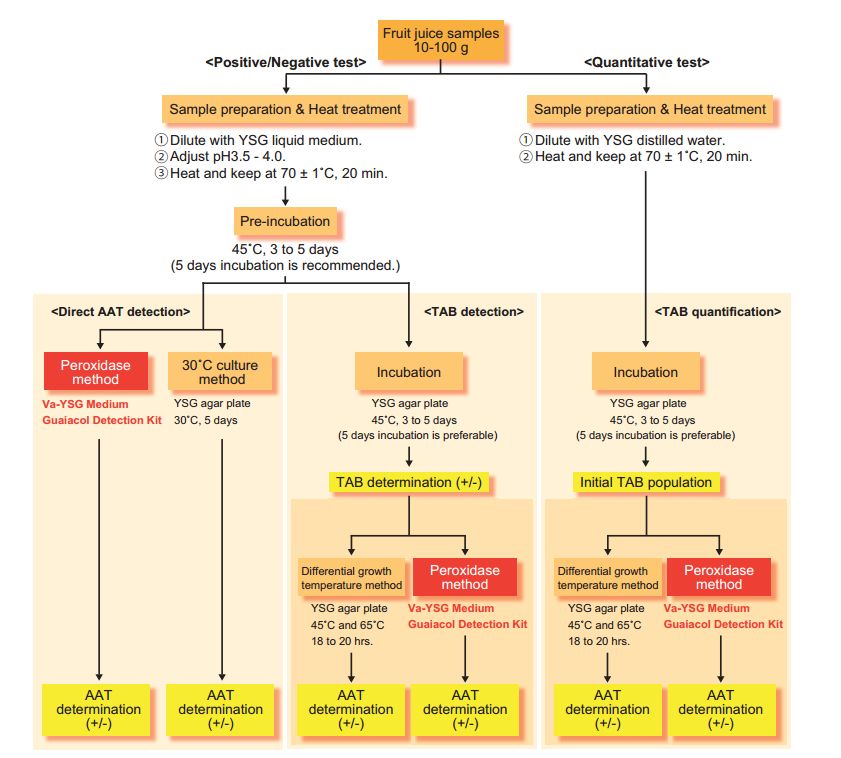 Guaiacol Detection Kit