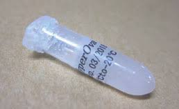 CARD HyperOva (Superovulation Reagent for mouse)