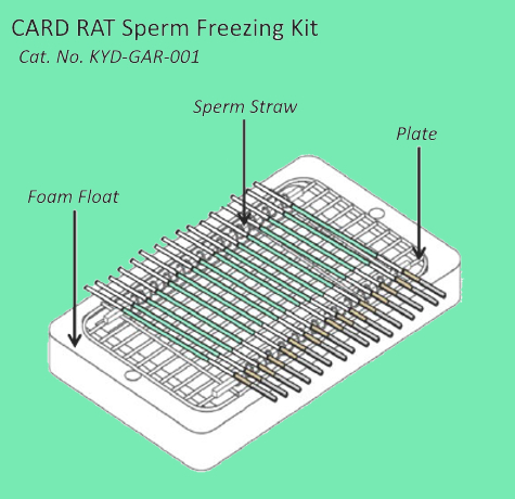 CARD Rat Freezing Kit