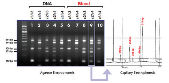 EzWay Direct ApoE Genotyping Kit