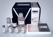 IgG, Mouse, ELISA Kit