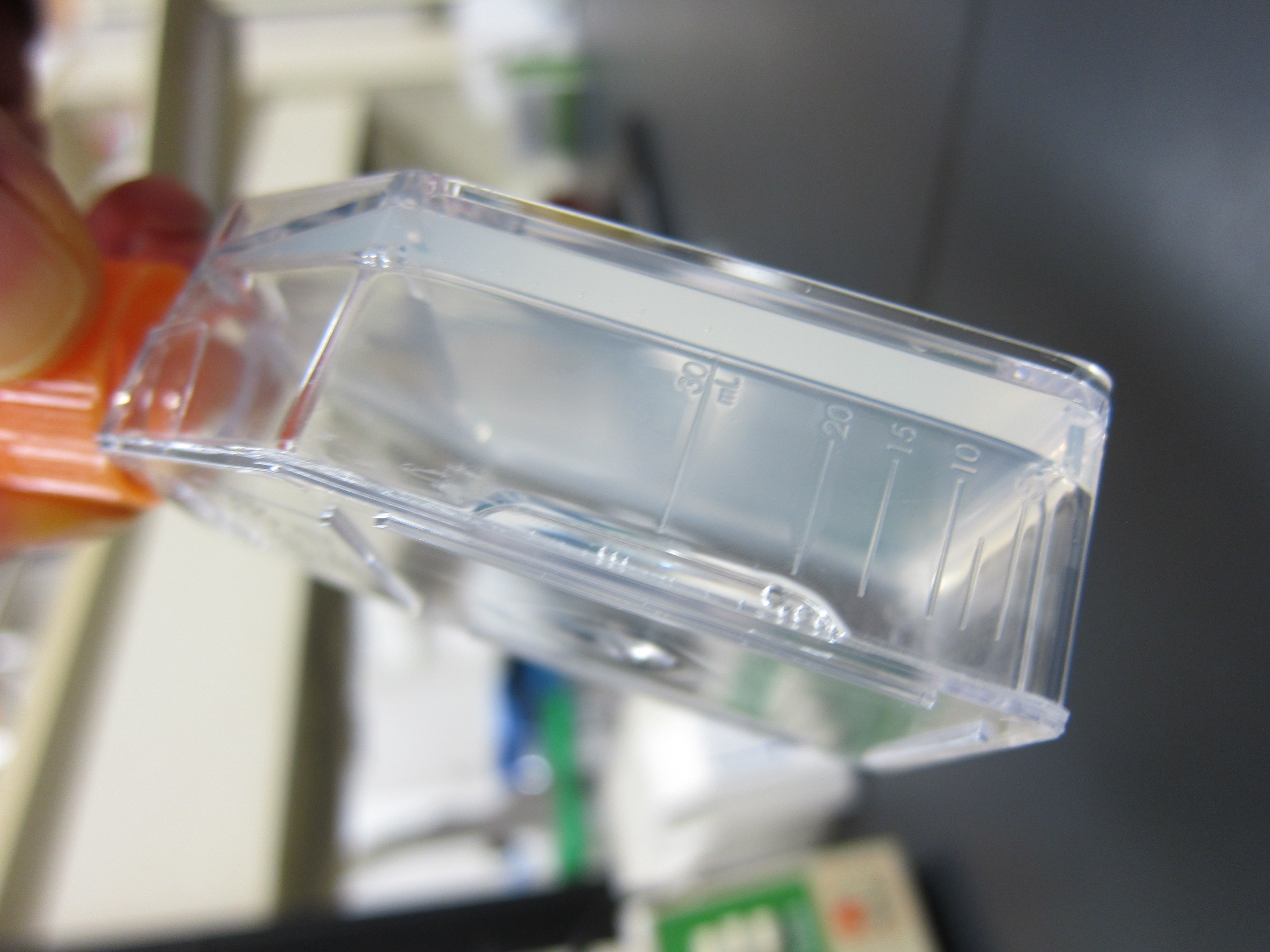 Mebiol Gel