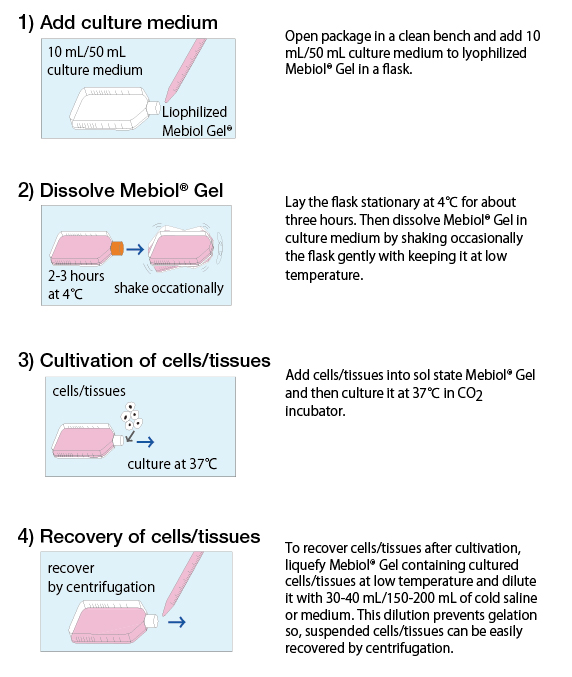 Mebiol Gel