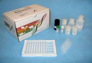 BroadCheck Metallothionein kit