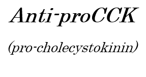 Anti-proCCK polyclonal antibody