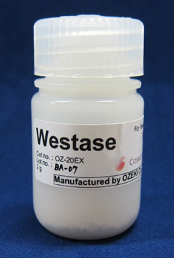 Westase Yeast Cell Lytic Enzymes