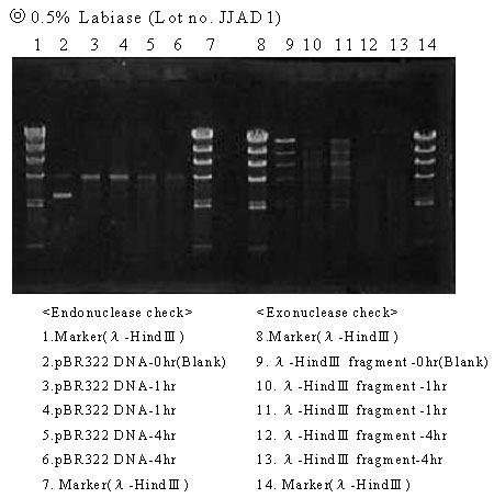 Labiase Bacterial Cell Lytic Enzymes