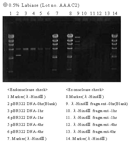 Labiase Bacterial Cell Lytic Enzymes