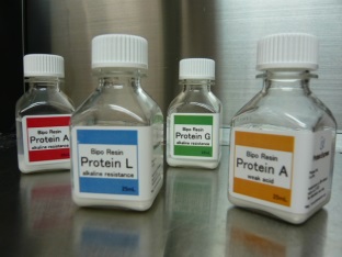 Bipo Resin Protein A (Weak Acid)