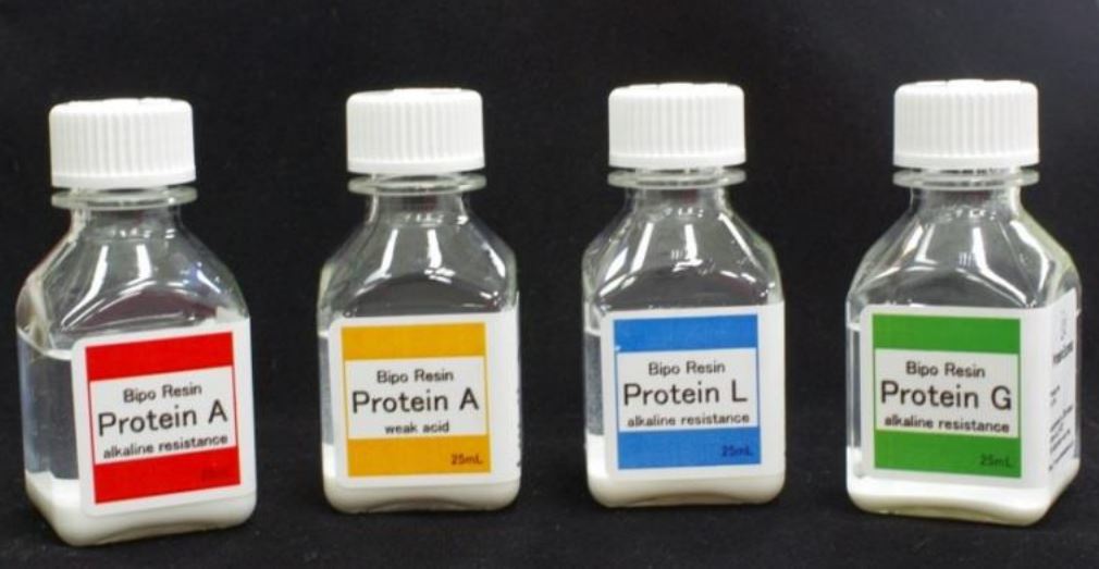 Bipo Resin Protein A (Weak Acid)