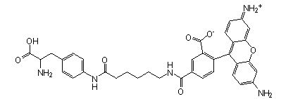 Site-Directed Fluorescence Labeling, CR110-X-AF (CGGG), CloverDirect