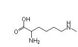 Site-Directed Post-Translational Modification, Lys(Me) (CGGG), CloverDirect