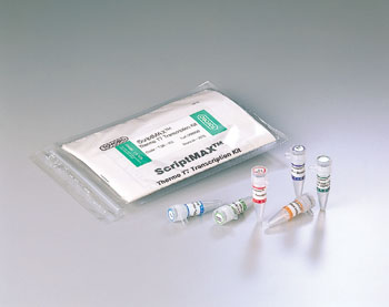 ScriptMAX Thermo T7 Transcription Kit